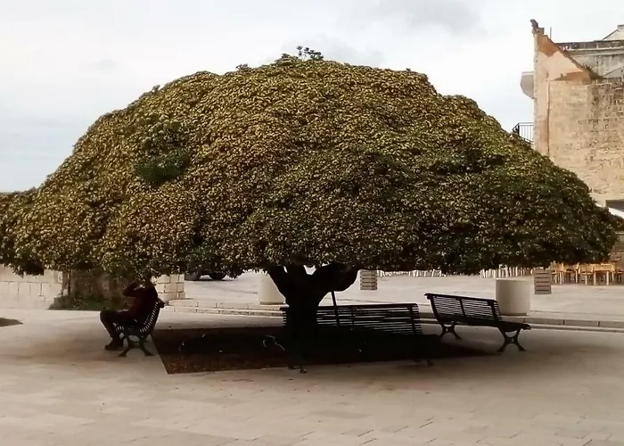 Casa In Salento A Ferienhaus Otranto