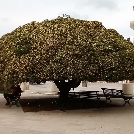 Casa In Salento A Semesterbostad Otranto